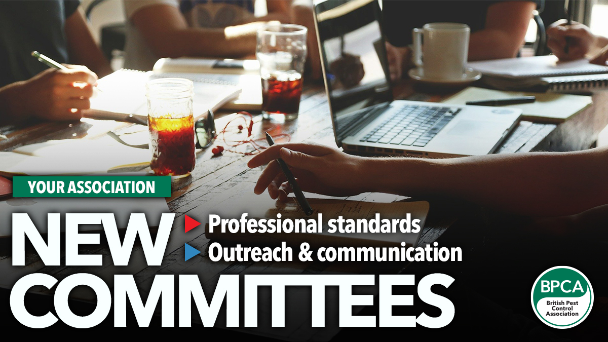 new Committees